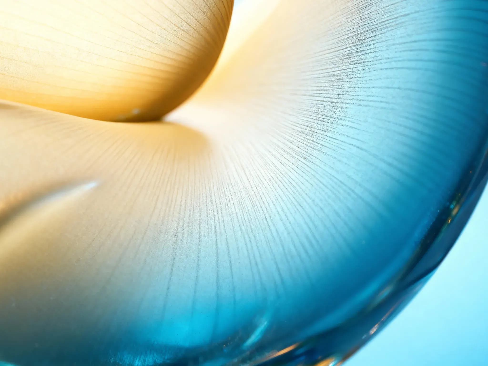 Growth metrics visualization