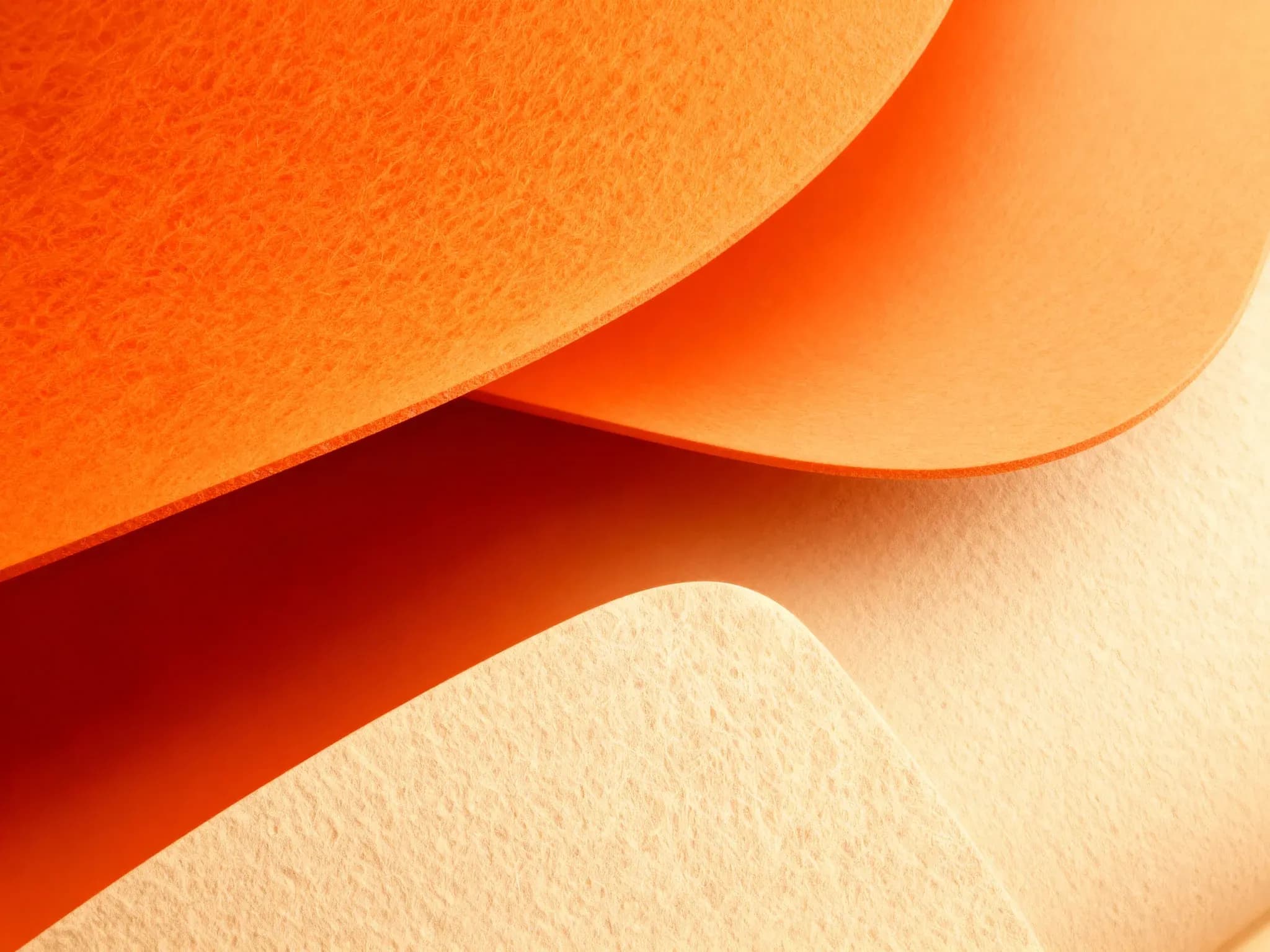 Tanqory leadership team discussing 2025 vision