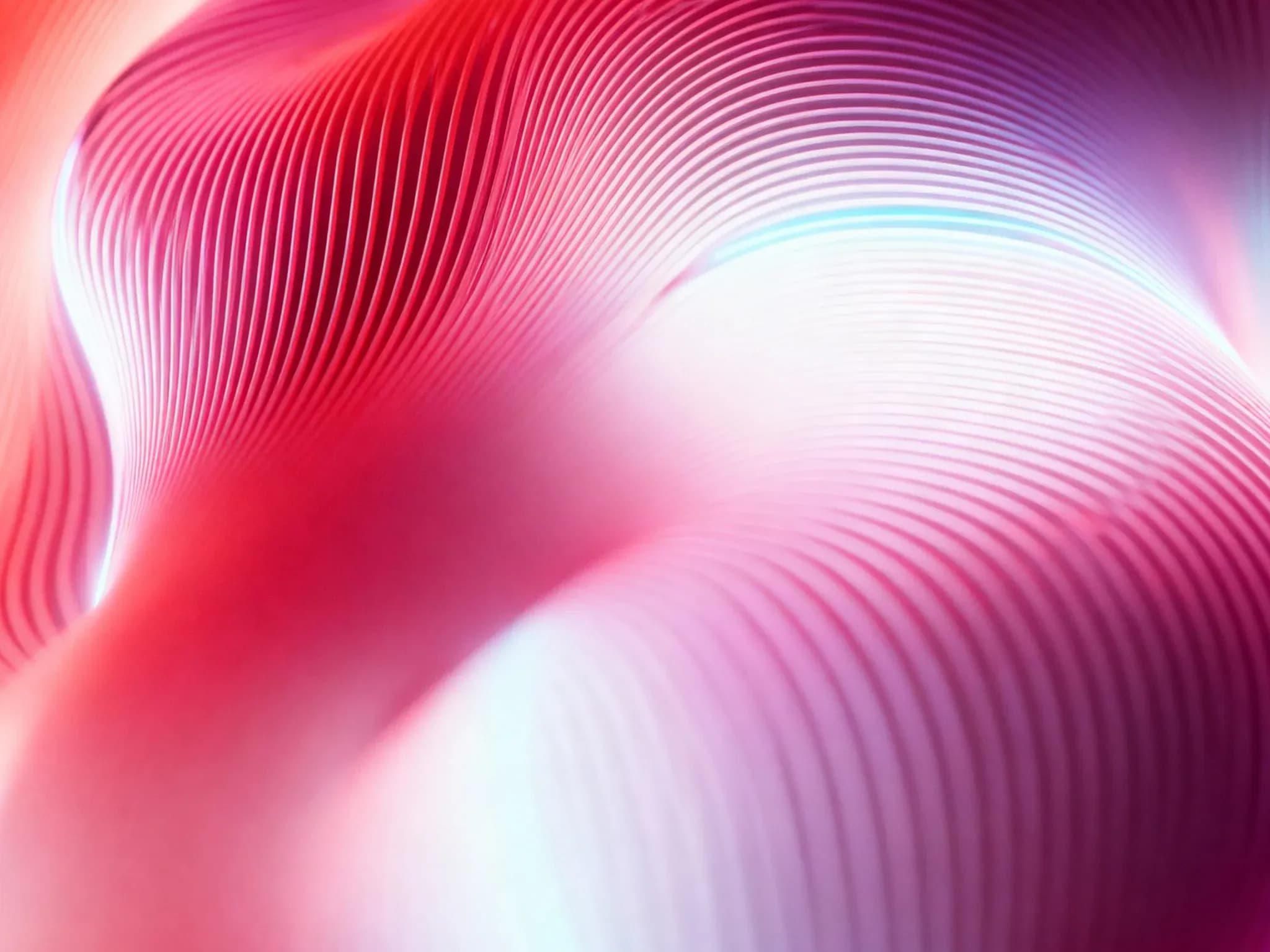 Digital transformation and growth