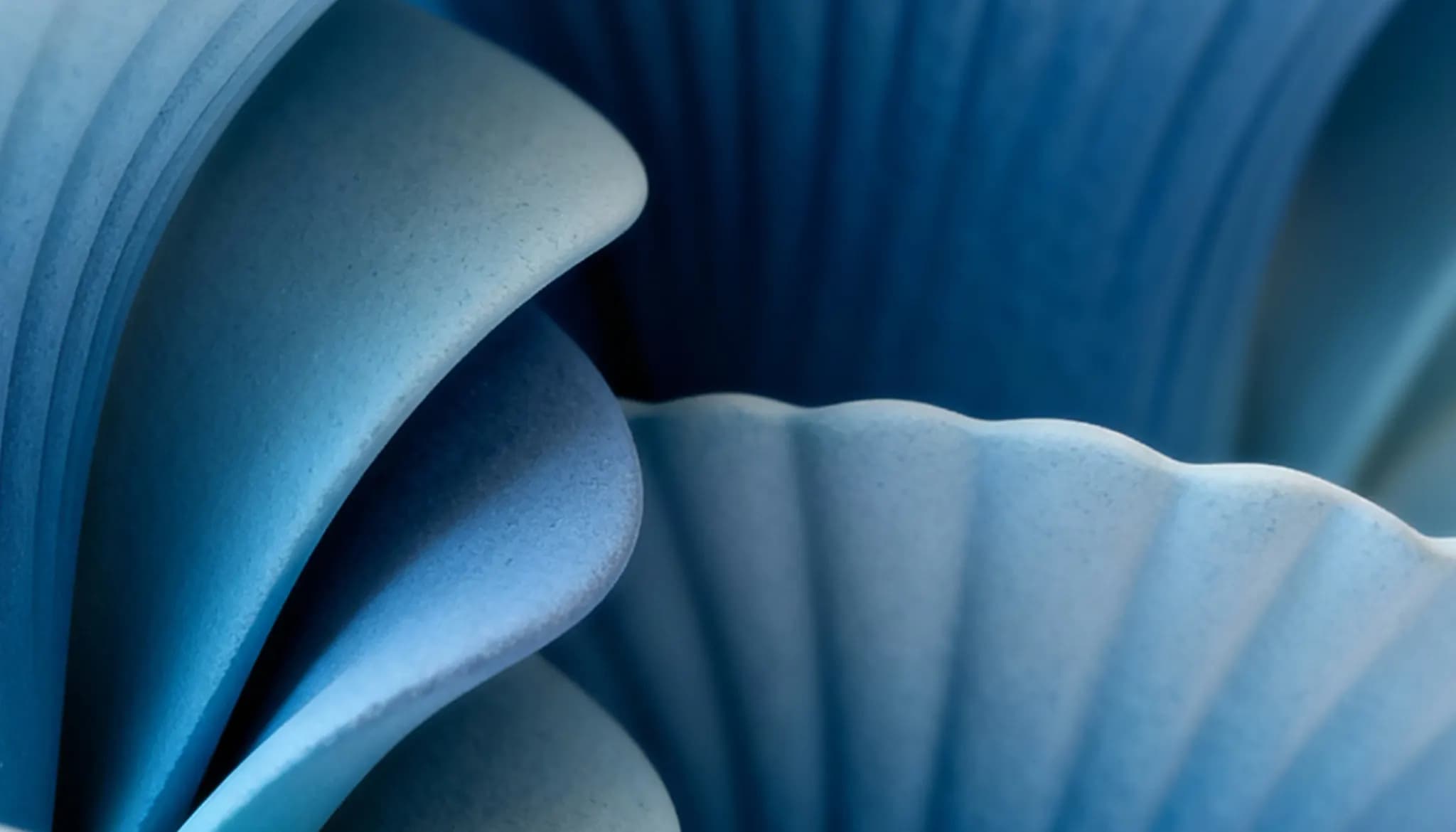 Team collaboration and success